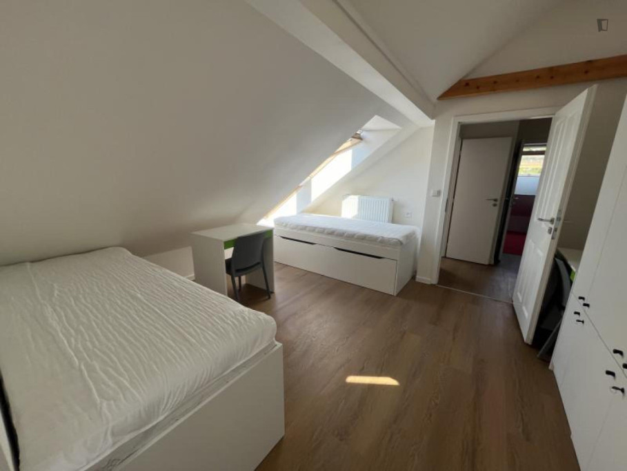 Bed in a welcoming 8-bed dorm, in Palmovka - Prague - chambre - ImmoJeune