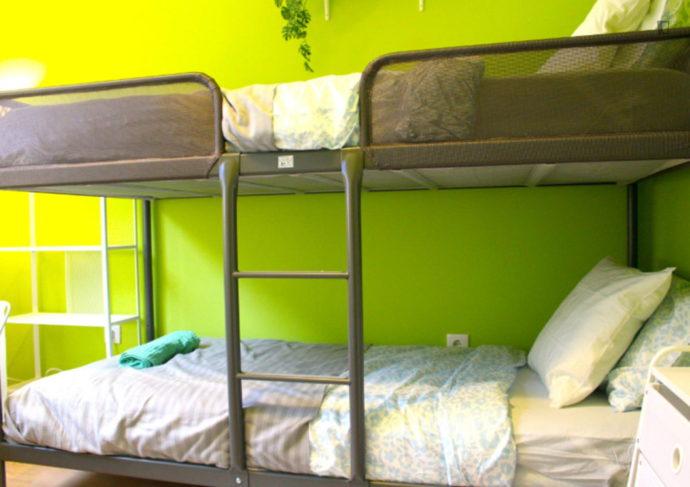 Lime Light - Shared Room - Porto - chambre - ImmoJeune