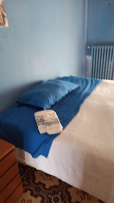 Spacious Bedroom in Turin - Turin - chambre - ImmoJeune