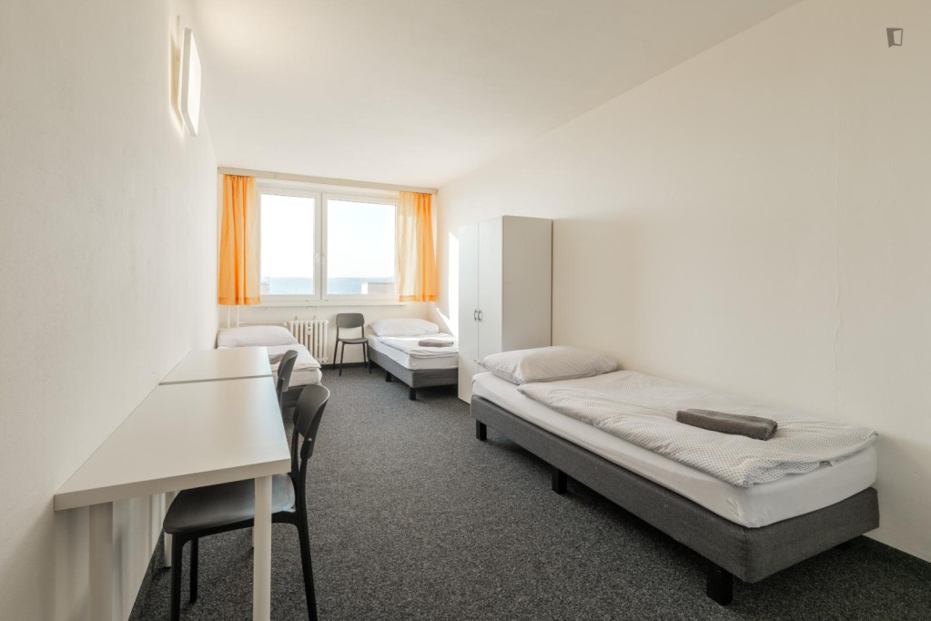 Bed in a triple room, in the Prague 12 district - Prague - chambre - ImmoJeune