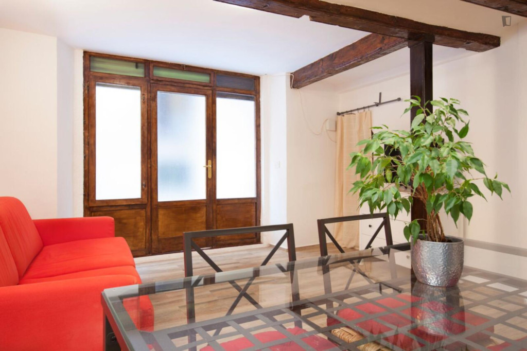Warm and cosy 1-bedroom apartment in El Raval - Barcelone - chambre - ImmoJeune