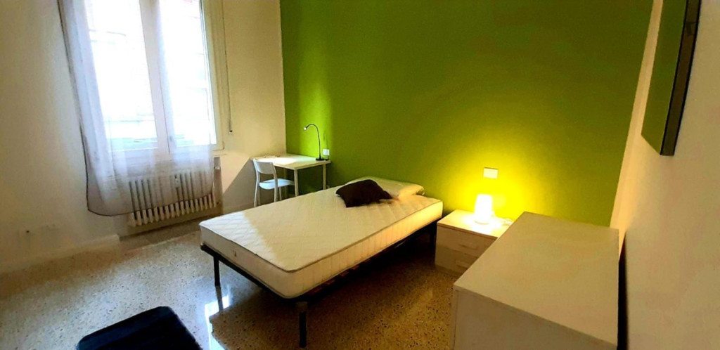 Comfortable double bedroom in central Bologna - Bologne - chambre - ImmoJeune