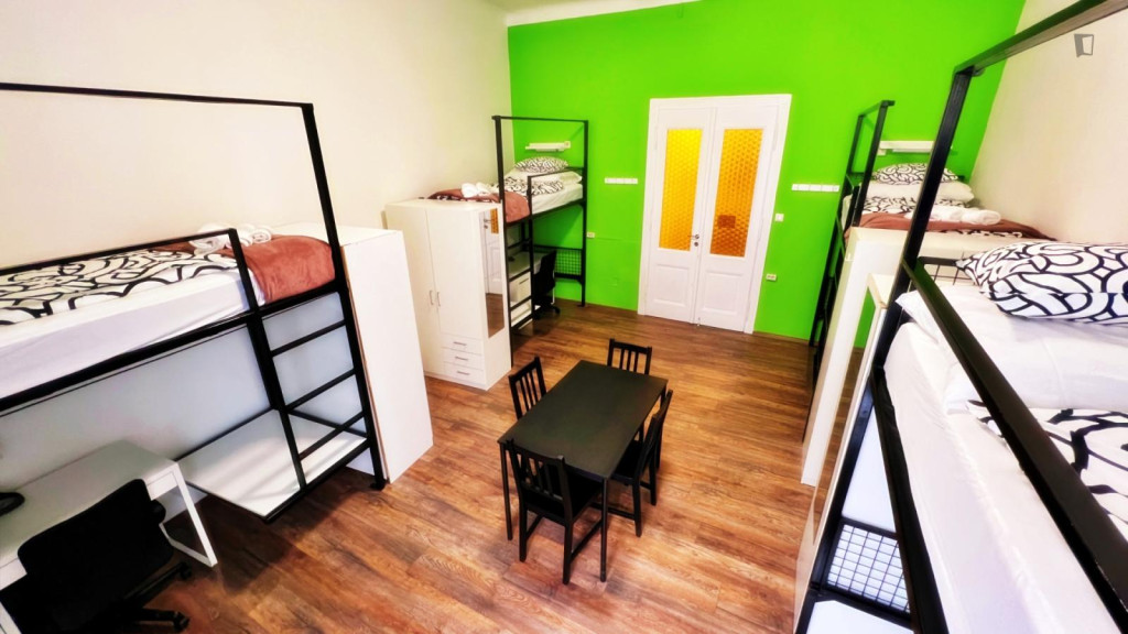 Bed in a big 4-bed dorm, in Ferencváros - Budapest - chambre - ImmoJeune