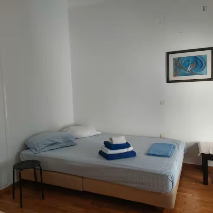 Appealing studio in the Kypseli neighbourhood - Athens - chambre - ImmoJeune