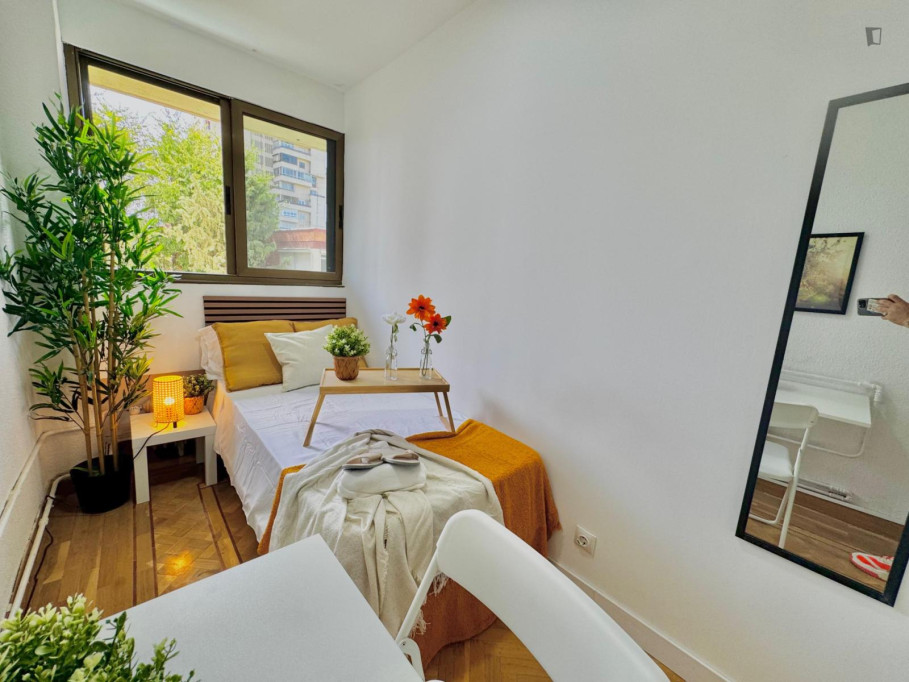 Lovely Single bedroom in a 6 bedroom apartment - Madrid - chambre - ImmoJeune