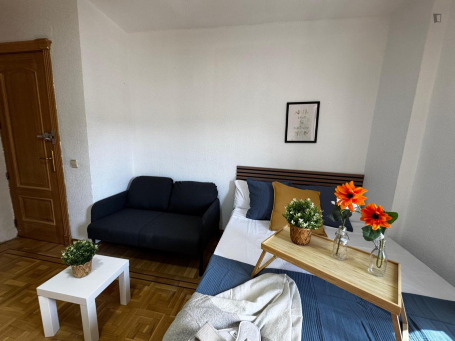 Amazing double bedroom in a 6 bedroom apartment - Madrid - chambre - ImmoJeune