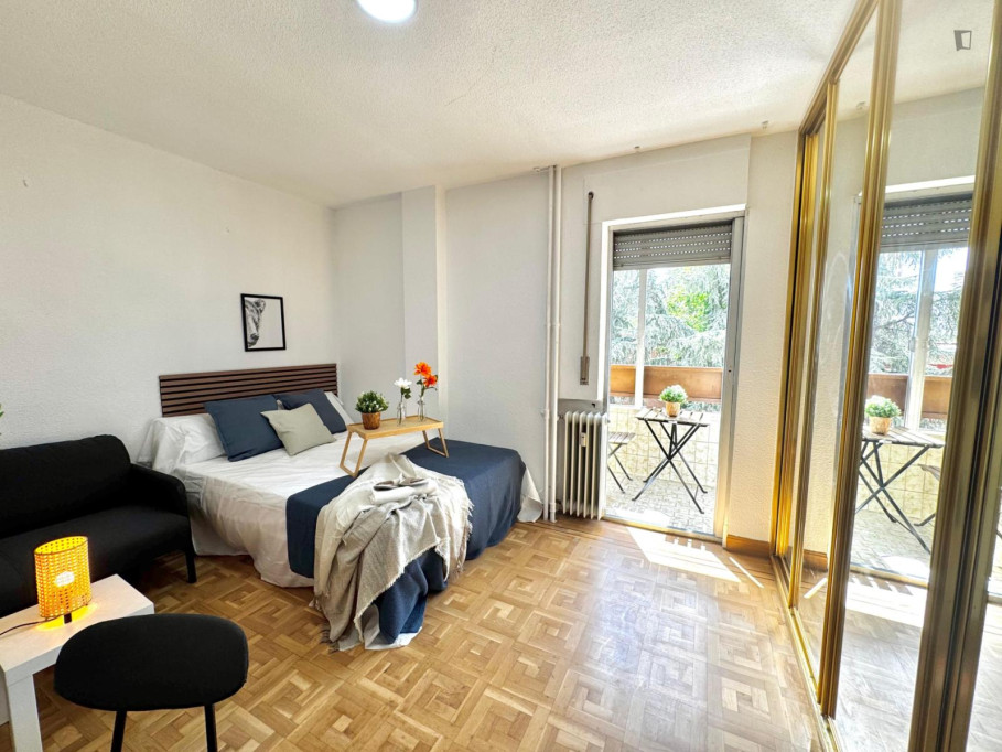 Beautiful double bedroom in a 6 bedroom apartment - Madrid - chambre - ImmoJeune