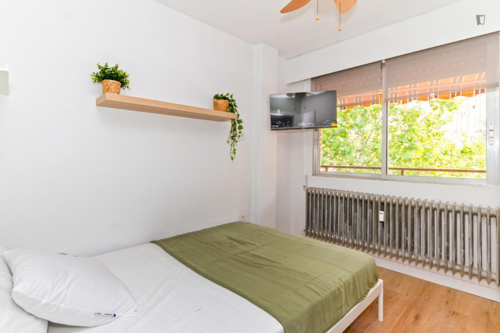Great looking single bedroom - Madrid - chambre - ImmoJeune