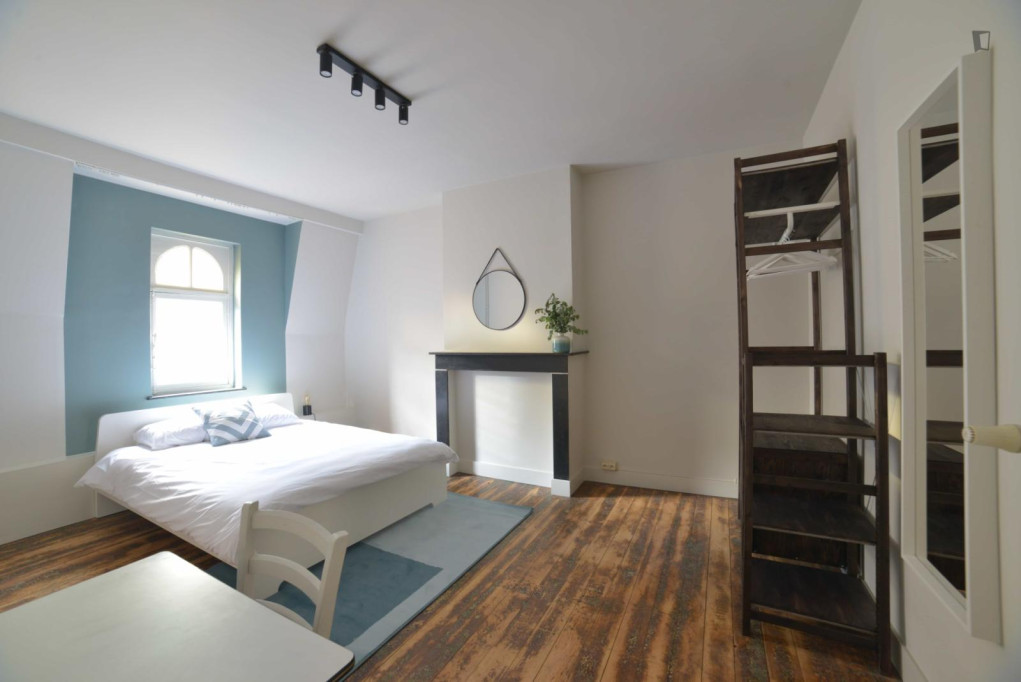 Charming double ensuite bedroom near Parc du Cinquantenaire - Bruxelles - chambre - ImmoJeune