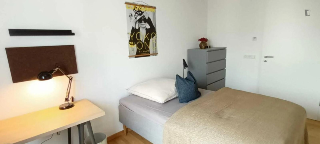 Cool single bedroom in shared flat in well-connected Maxvorstadt - Munich - chambre - ImmoJeune