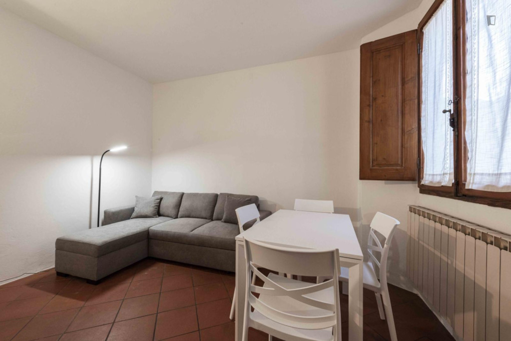 Delightful 2-bedroom apartment in Santa Croce - Florence - chambre - ImmoJeune