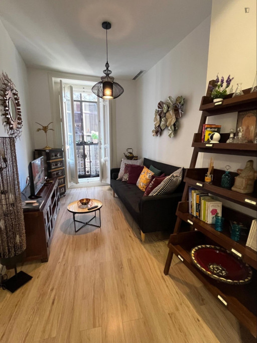 Beautiful 1-bedroom apartment steps away from Gran Vía - Madrid - chambre - ImmoJeune