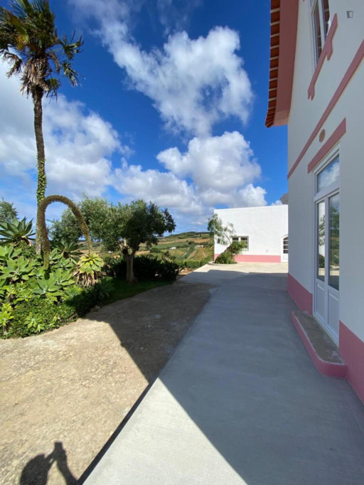 Charming and beautiful 3-bedroom house in Sobral, Lourinhã - Lisbonne - chambre - ImmoJeune