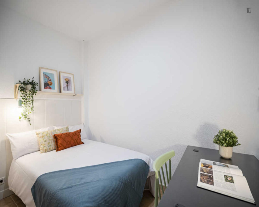 Marvelous double bedroom in Madrid - Madrid - chambre - ImmoJeune