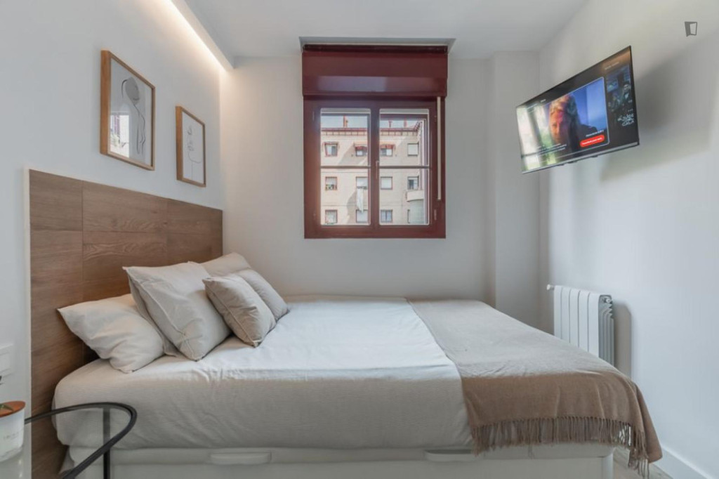 Very nice single bedroom in San Isidro - Madrid - chambre - ImmoJeune