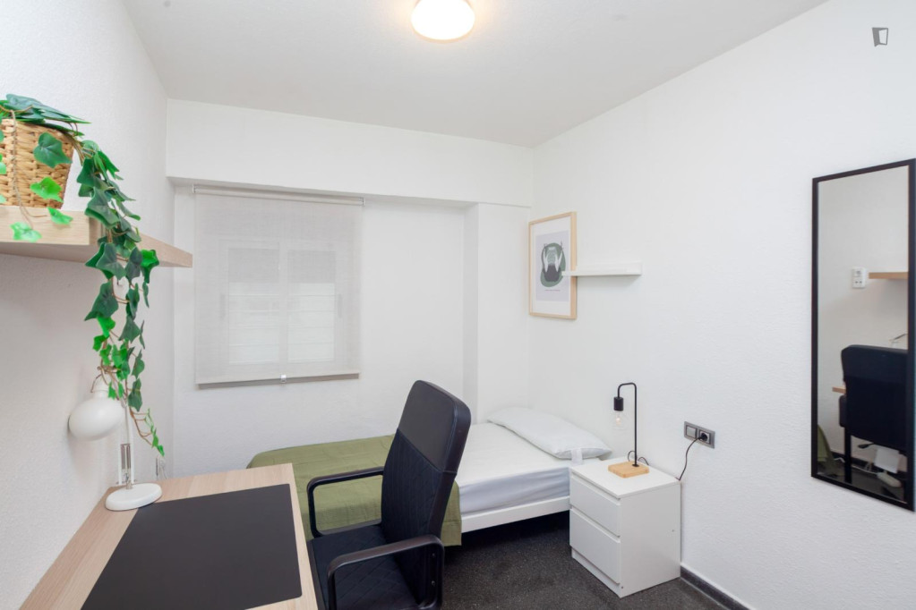 Very comfy single bedroom in Albors - Valence - chambre - ImmoJeune