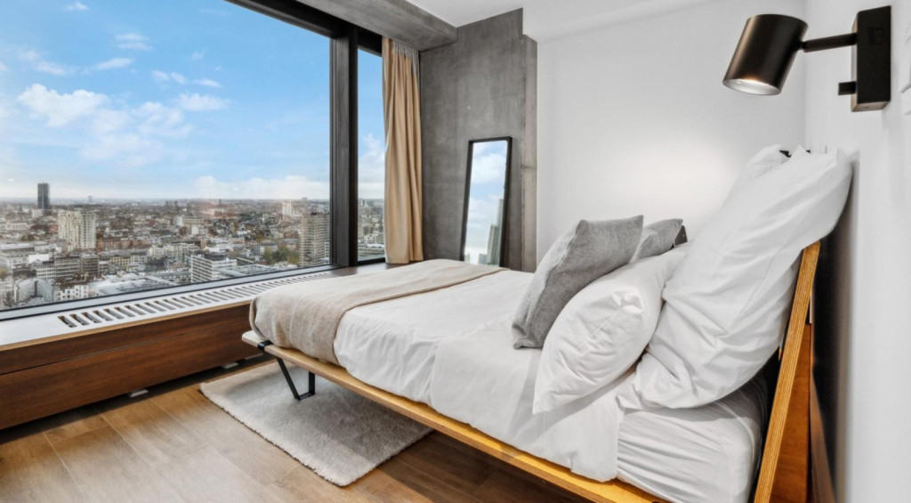 Bright double bedroom in nice shared flat in the close vicinity of Brussels-North train station - Bruxelles - chambre - ImmoJeune