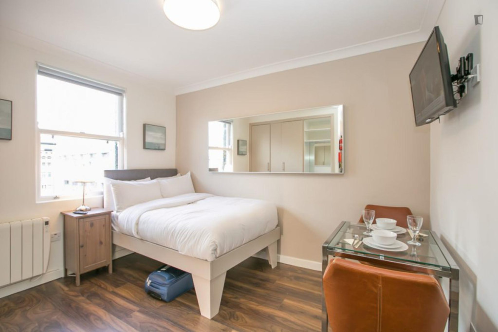 Admirable studio next to St Stephen's Green - Dublin - chambre - ImmoJeune