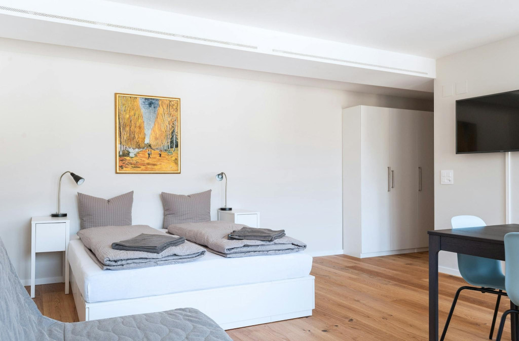 Rümelinsplatz, Basel - Basel - chambre - ImmoJeune