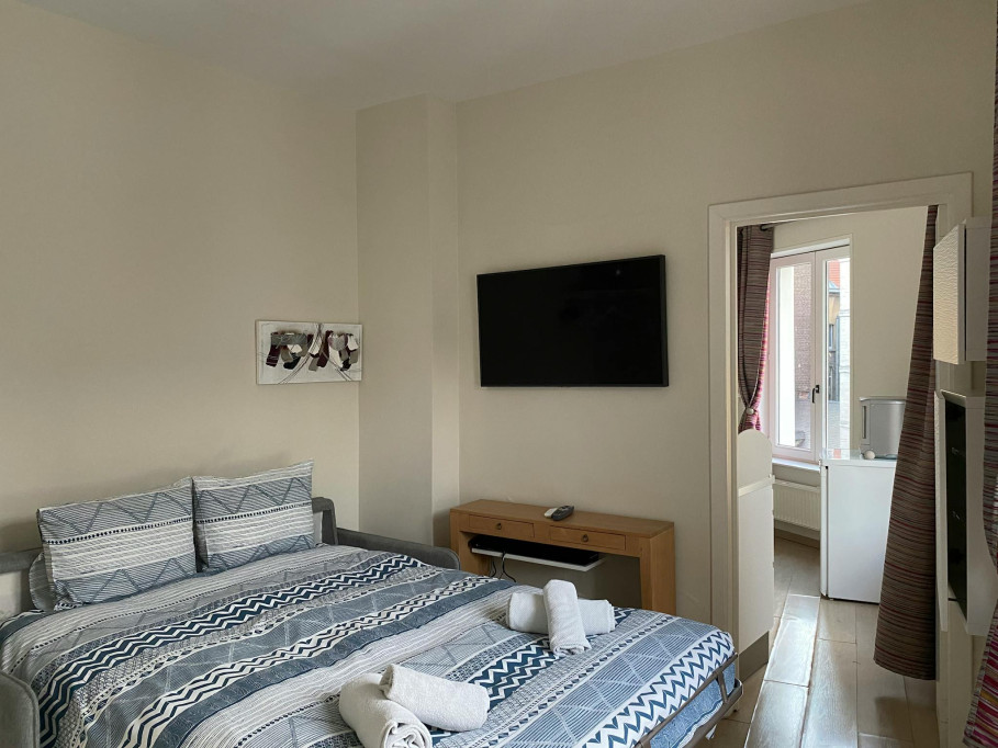 Rue du Jardin des Olives, Brussels - Bruxelles - chambre - ImmoJeune