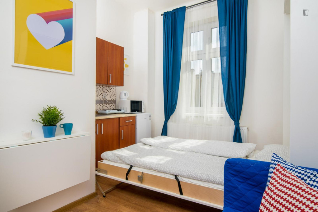 Welcoming studio close to the Vršovice train station - Prague - chambre - ImmoJeune