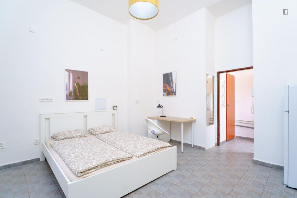 Modern studio near Vršovice train station - Prague - chambre - ImmoJeune