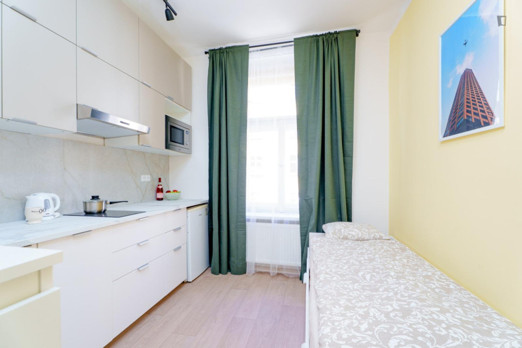 Lovely studio near the Vršovice train station - Prague - chambre - ImmoJeune