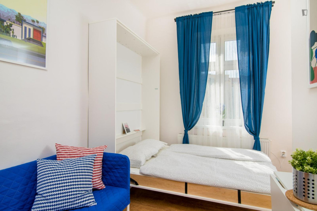 Cosy and bright studio in Jezerka - Prague - chambre - ImmoJeune