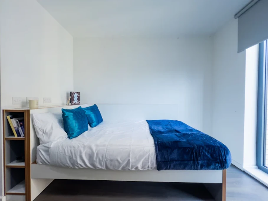 Dobbie's Point Roost - Glasgow - chambre - ImmoJeune