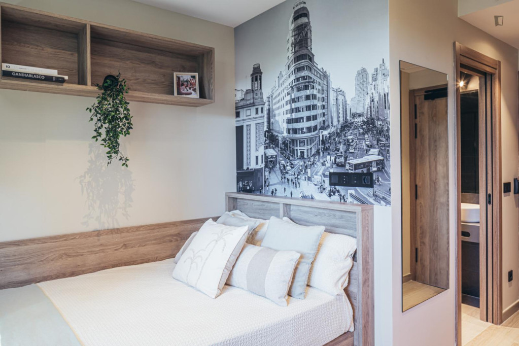 Cool studio in Chamartín - Madrid - chambre - ImmoJeune