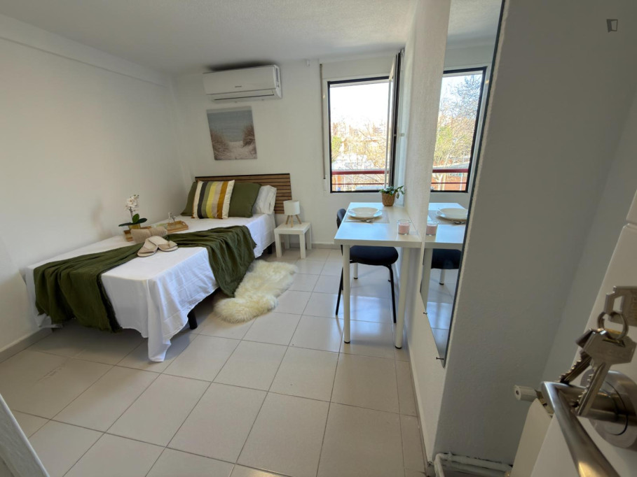 Welcoming single bedroom in the Arcos neighbourhood - Madrid - chambre - ImmoJeune