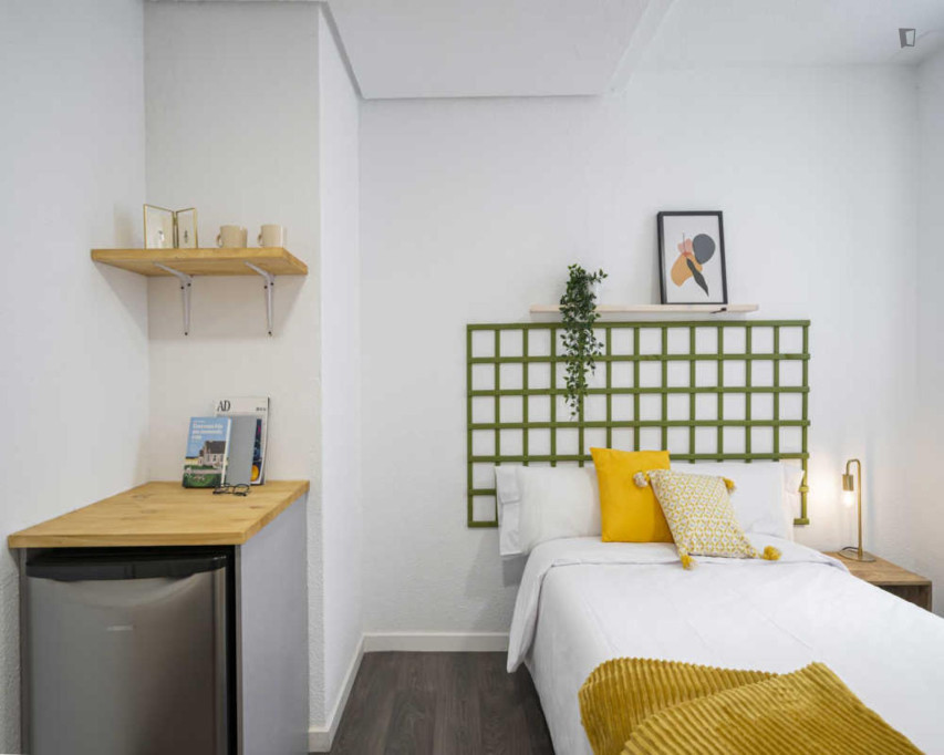 Cozy single bedroom close to the Núñez de Balboa metro station - Madrid - chambre - ImmoJeune