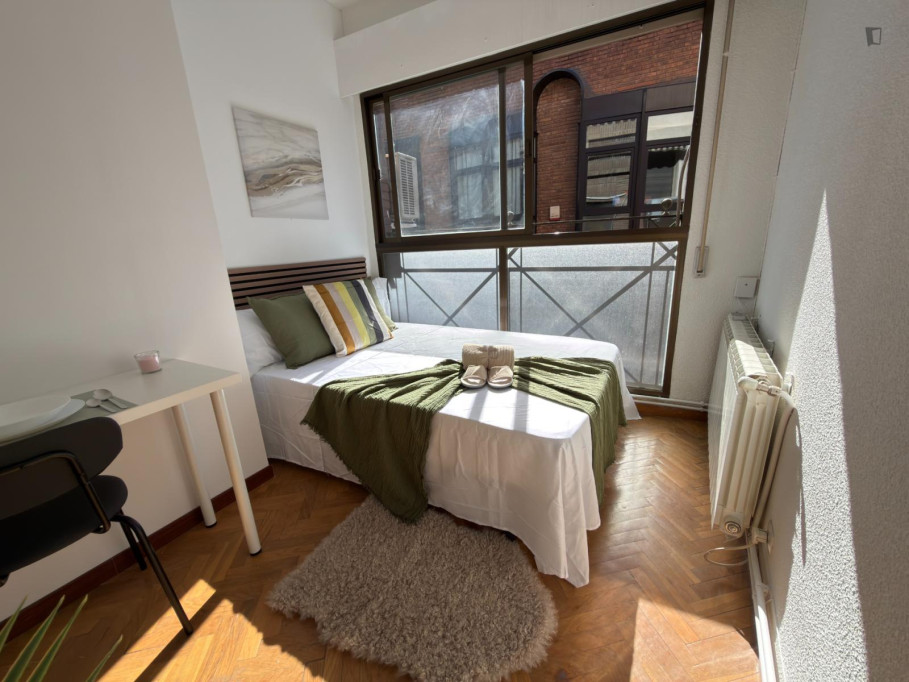 Sunny double bedroom near the Ríos Rosas metro - Madrid - chambre - ImmoJeune