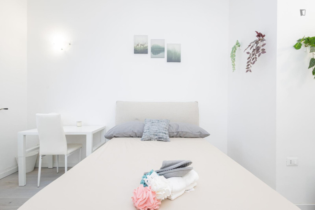 Appealing double bedroom in central Milan - Milan - chambre - ImmoJeune