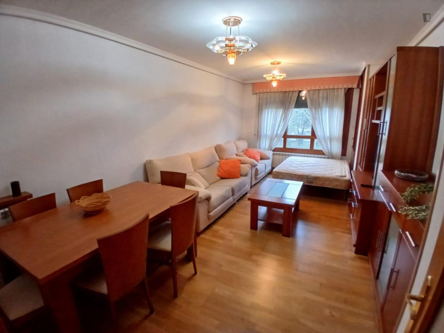 Neat double bedroom near the Miguel de Cervantes European University - Valladolid - chambre - ImmoJeune