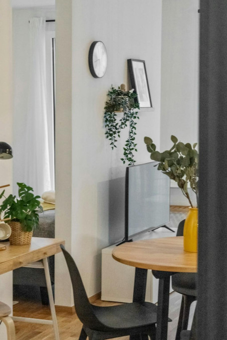 Baumergasse, Vienna - Vienna - chambre - ImmoJeune