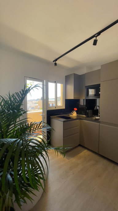 Carrer de Caro, Palma - Palma - chambre - ImmoJeune