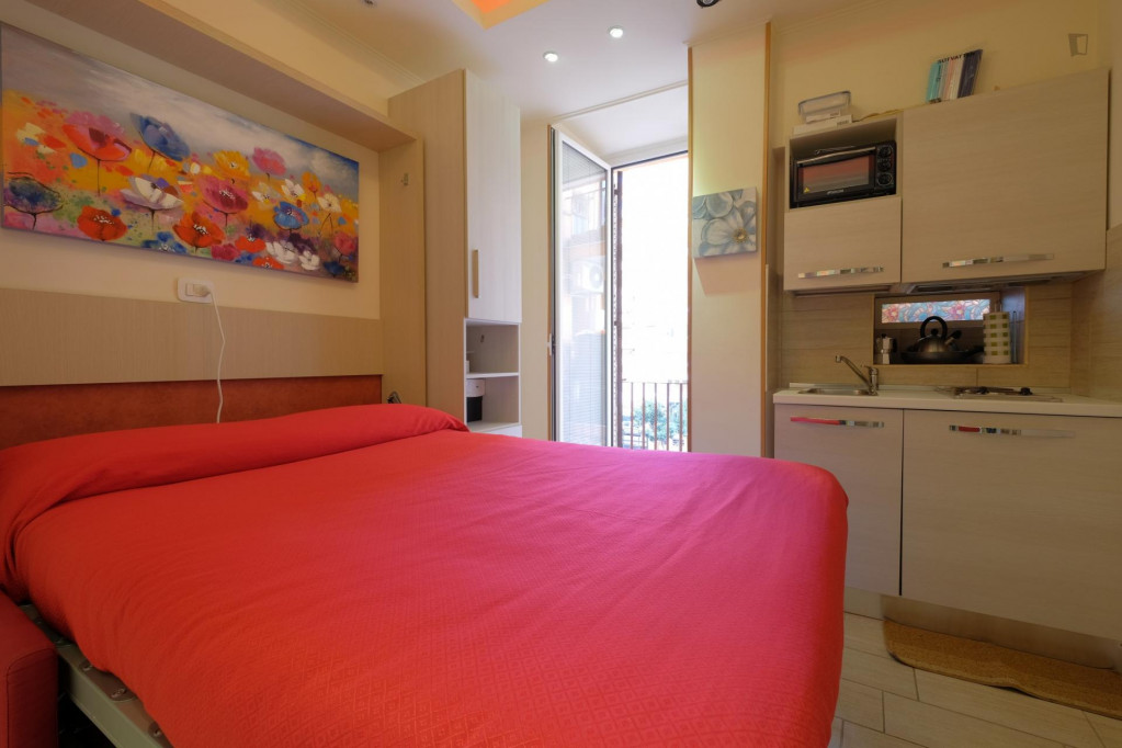 Elegant and neat studio in Quartiere IX Appio Latino