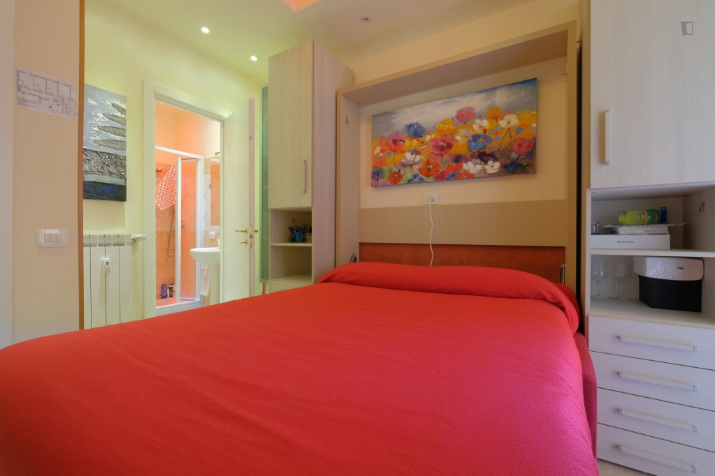 Elegant and neat studio in Quartiere IX Appio Latino
