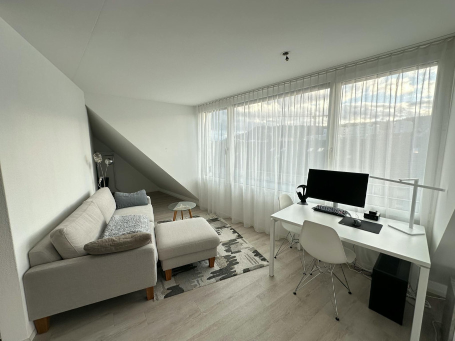 Eugen-Huber-Strasse, Zürich - Zurich - chambre - ImmoJeune