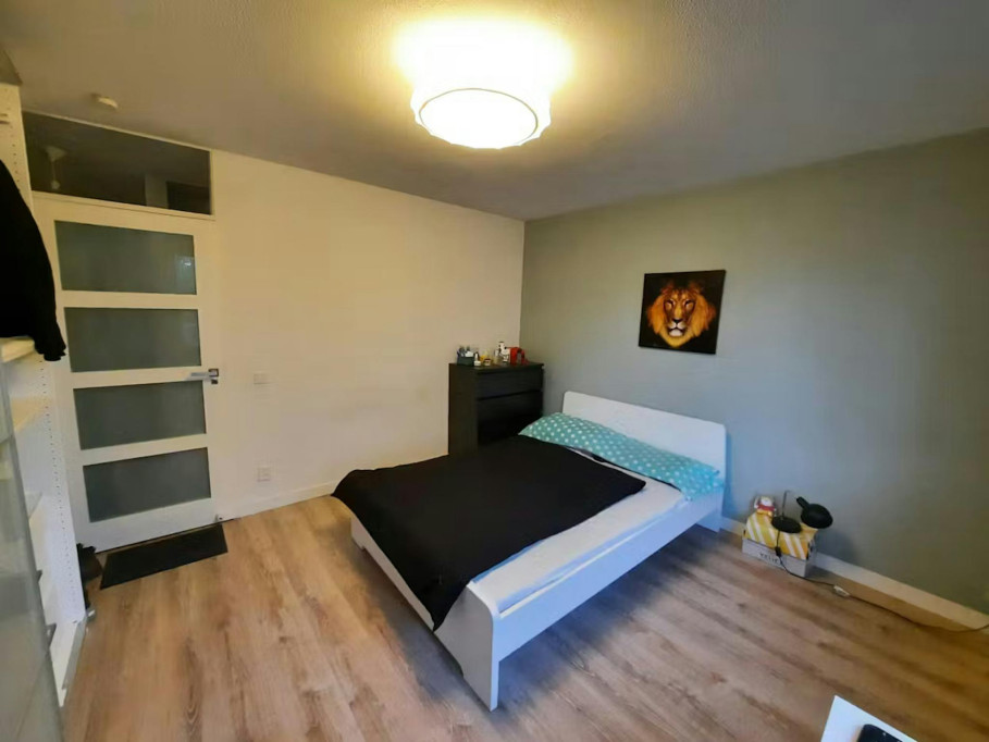Den Uylsingel, Rotterdam - Rotterdam - chambre - ImmoJeune