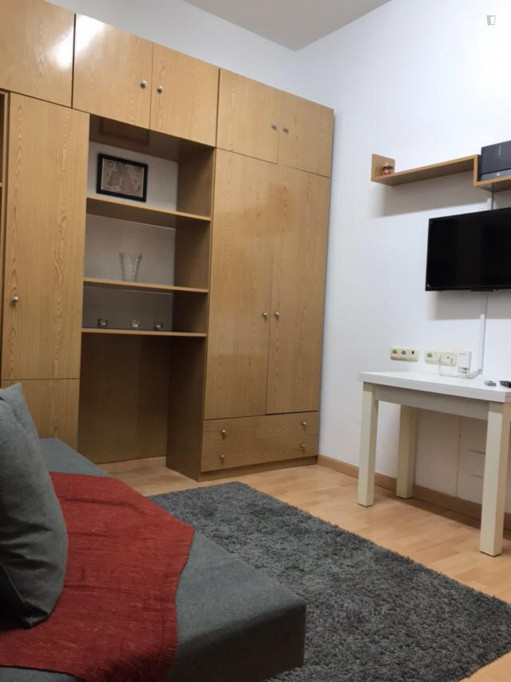 Homely studio in Lavapiés-Embajadores - Madrid - chambre - ImmoJeune