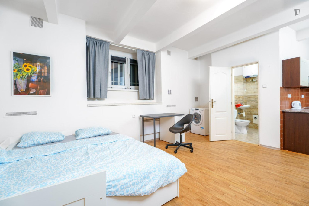 Large studio in Jezerka - Prague - chambre - ImmoJeune