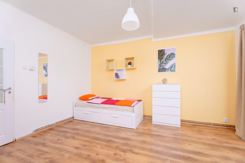 Sunny double bedroom in Jezerka - Prague - chambre - ImmoJeune