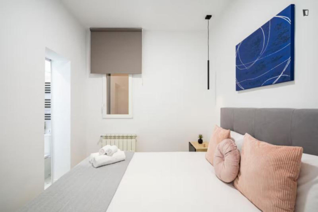 Really relaxed single bedroom in a 2-bedroom apartment in Ríos Rosas - Madrid - chambre - ImmoJeune