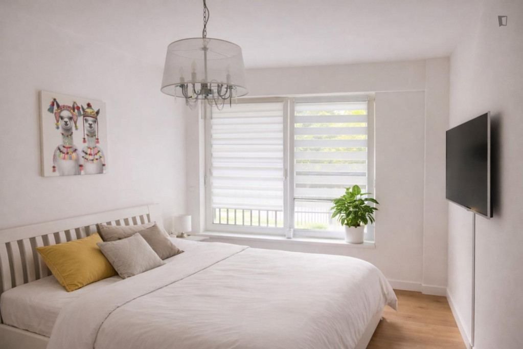 Bright 2-Room Apartment with 2 Terraces near Schloßstraße & Freie Universität (FU Berlin) - Berlin - chambre - ImmoJeune