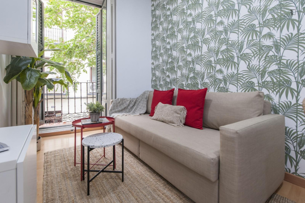 Comfortable 2-bedroom apartment with balcony on Cava Baja - Madrid - chambre - ImmoJeune