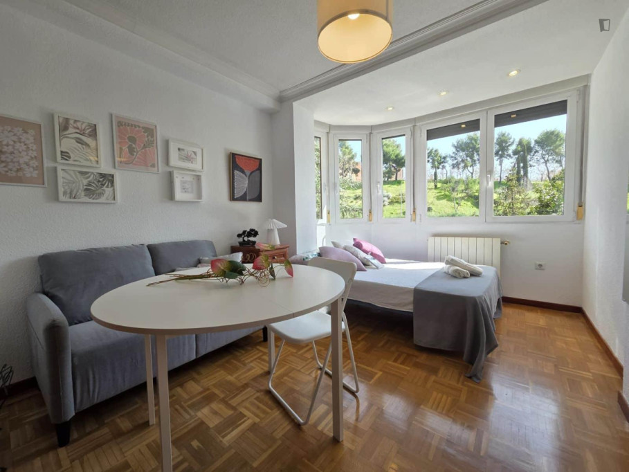 Excellent Double bedroom in a 5 bedroom apartment - Madrid - chambre - ImmoJeune