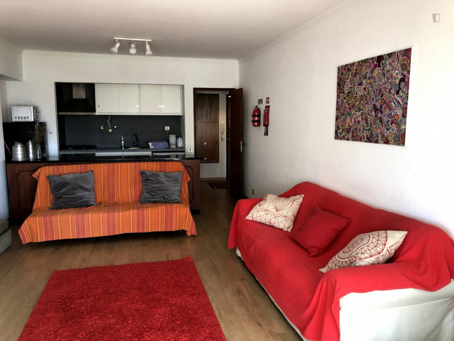 Cosy 1-bedroom flat near the beach, in Costa da Caparica