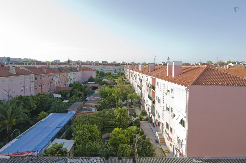 Well-located single bedroom in trendy Alvalade neighbourhood